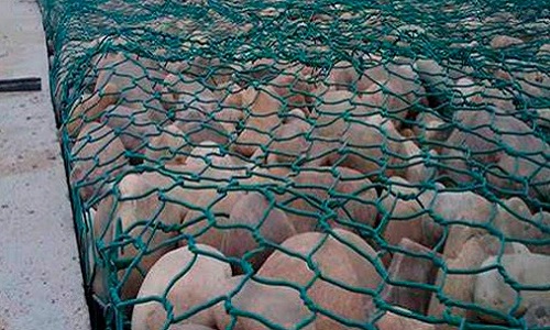 gabion-mesh-panels-2.jpg