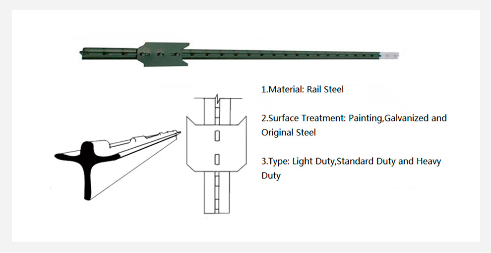 Diagram of T Post