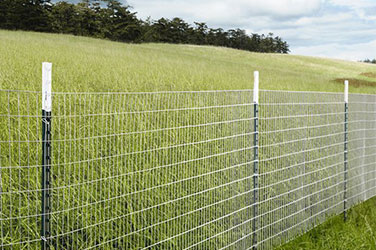 5 Key Applications of Welded Wire Mesh in Modern Industries