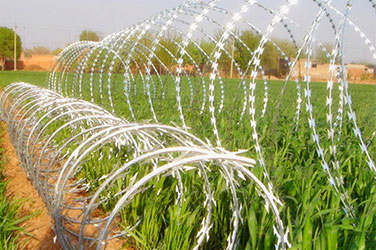 All You Need to Know About Razor Wire