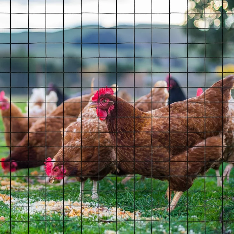 welded wire mesh for livestock